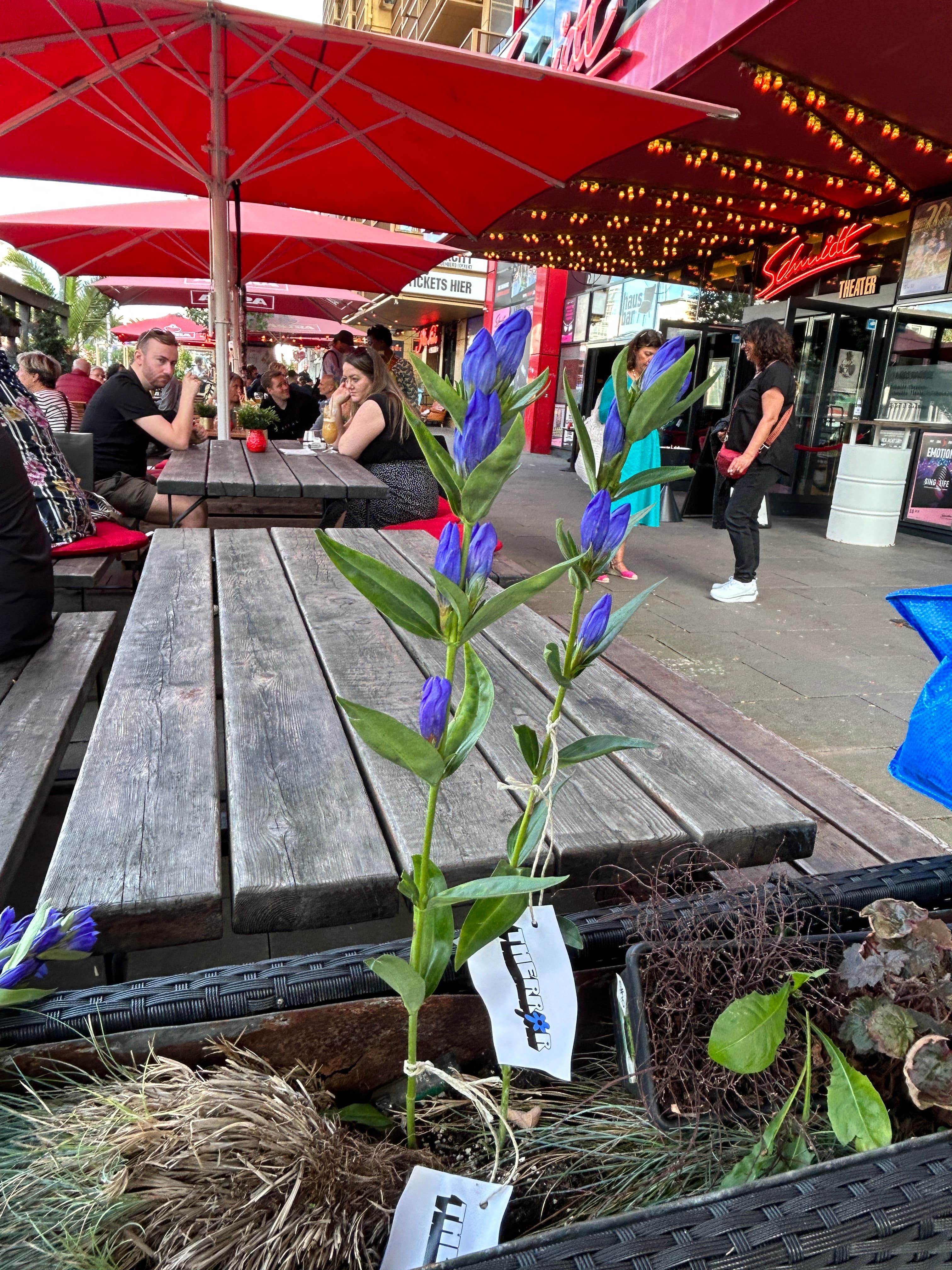 Guerilla Marketing Installation
